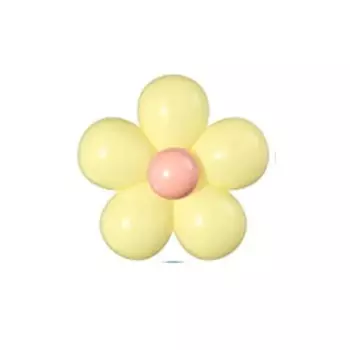 Набор воздушных шаров с ромашкой Groovy Party Supply