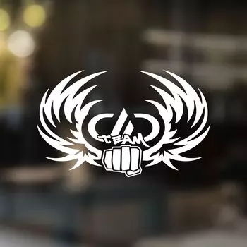 Наклейка на автомобиль DD team