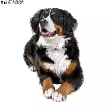 Наклейка на автомобиль, мотоцикл, ноутбук, багаж