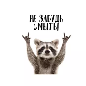 Наклейка на стену с енотом "Не забудь смыть" M807