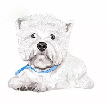 Наклейка с собакой вест-хайленд-терьером, автомобильный велосипед, шлем для ноутбука, Westie, водонепроницаемые наклейки с забавными животными, 13/17 см, ПВХ KK