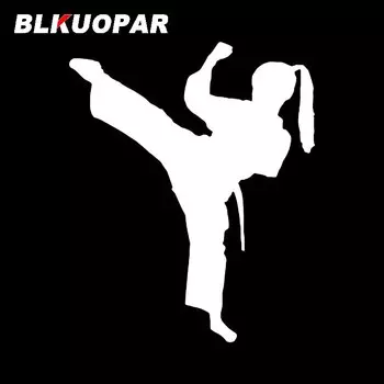 Наклейки на автомобиль с изображением женщины и девушки-карате