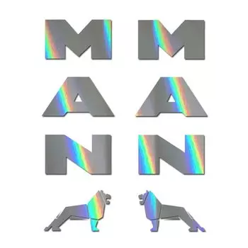 Наклейки на заднее зеркало грузовика MAN x 2. TGX TGS TGA