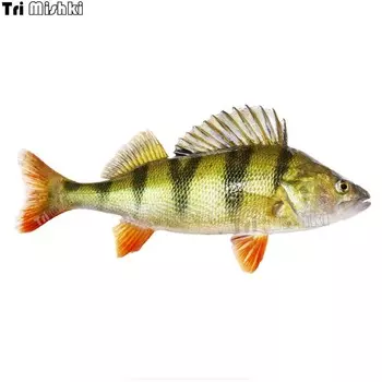 Наклейки три мишки W1115, 3D наклейки с изображением рыбы, реки, окуня, мотоцикла, аксессуары, наклейки на автомобиль, грузовик, бампер, ноутбук, холодильник