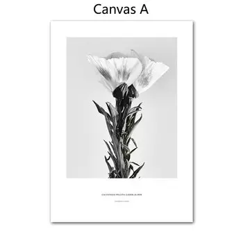 Настенная картина "Черно-белый пион и хризантема", Gotinkart