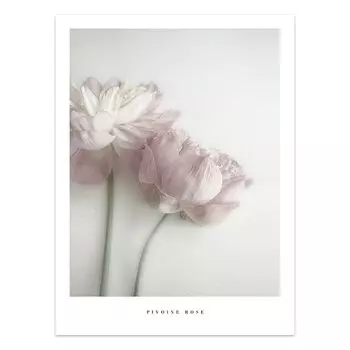 Настенная картина Wartlla "Черно-белые цветы"