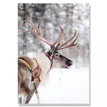 Настенная живопись AliPaint "Рождественский красный автомобиль"