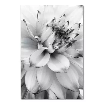 Настенные картины АлиПэинт, черно-белый цветочный принт