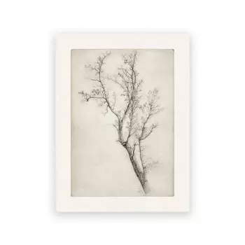 Настенный принт "Винтажный лесной пейзаж", Ilan grace