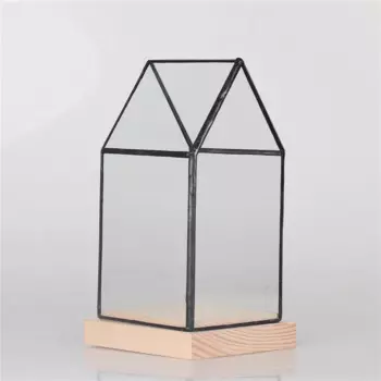 Настольная геометрическая стеклянная чаша в форме растений, террариум, бонсай, цветочный горшок, ваза, садовый кашпо для суккулентов, декоративный цветочный горшок в помещении