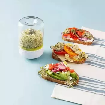 Настольный проращиватель Adhere To Fly