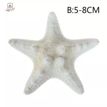 Натуральные морские звезды, большие, круглые и квадратные, 20 шт.