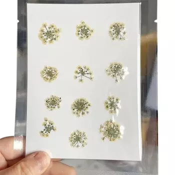 Натуральные сушеные цветы NYAConfetti для декора