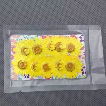 Натуральные сушеные хризантемы SNASAN 10 шт. 2,5 см