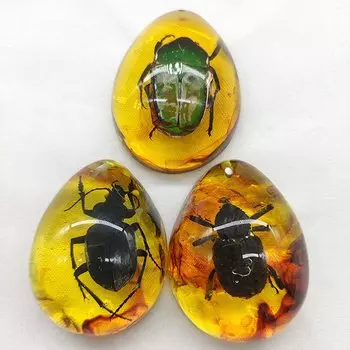 Натуральный канифольный скорпион WHPHous