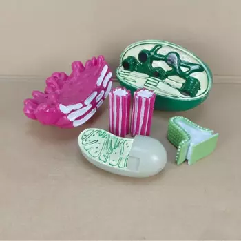 Набор моделей клеток HOGNSIGN