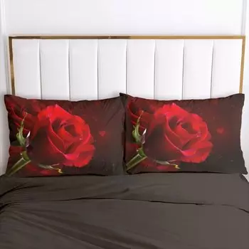 Наволочки ZUEXVOFY 3D 100% Полиэстер