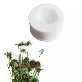 Силиконовые формы для кексов Кордицепс цветок Сердце