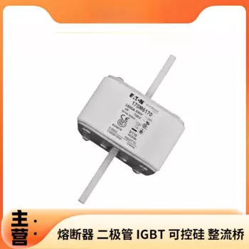 Низковольтный Быстрый Предохранитель 170m6170