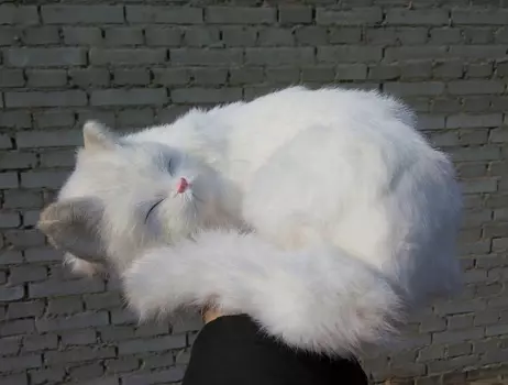 Новая игрушка-Спящая кошка из полиэтилена и меха, белая кукла-кошка, подарок, около 25x20x11 см, 1188