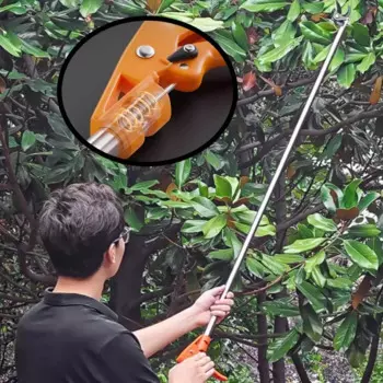 Ручные садовые ножницы LISM для обрезки фруктовых деревьев