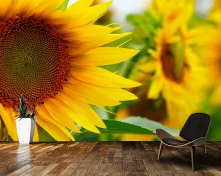 Обои на заказ, яркие цветы подсолнуха, 3d обои, Настенные обои для гостиной, телевизора, спальни, домашний декор, Настенные обои для ресторана