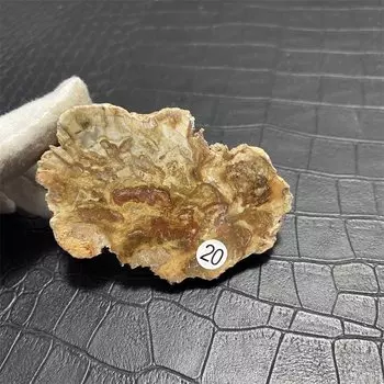 Образец натурального окаменевшего дерева, кристаллы и полудрагоценные камни RongDe Jewelry