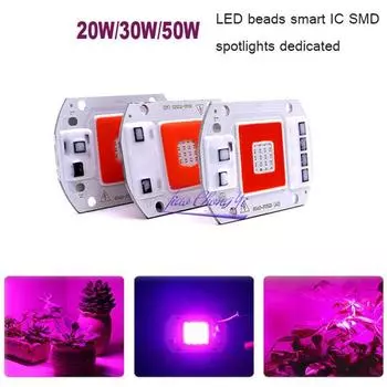 OEING Фитолампа пол spectrum 50Вт красный синий свет