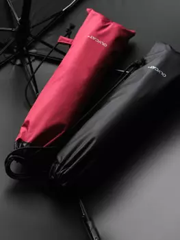 Женский зонт OLYCAT с цветком сливы