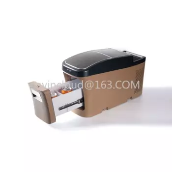 Оригинальный Автомобильный холодильник