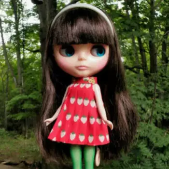 Оригинальный Lorshek Molseh Blyth 2014 Февраль. Шарнирная кукла Detective Crackerjack, персонализированная кукла Dollette Girl, подвижная фигурка ручной работы