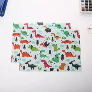 Папка для файлов HEYEJET с рисунком A4