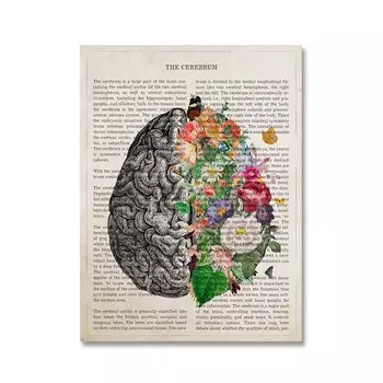 Печать на холсте "Цветок анатомии мозга" MINISO Style Watercolor