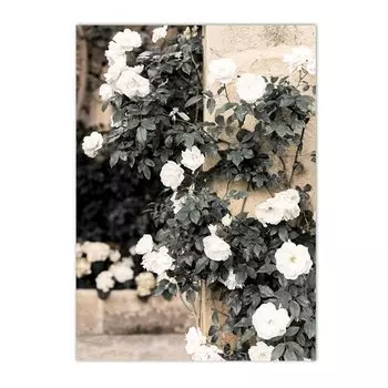 Печать на холсте "Испанская Италия Мопслия Архитектура"