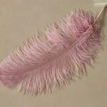 Перья страусиные, белые, окрашенные цвета, 20 шт., 2019