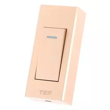 Переключатель JETTING 2-х клавишный серый/белый/золотой