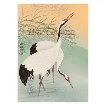 Плакат Fine Comma Два Журавля