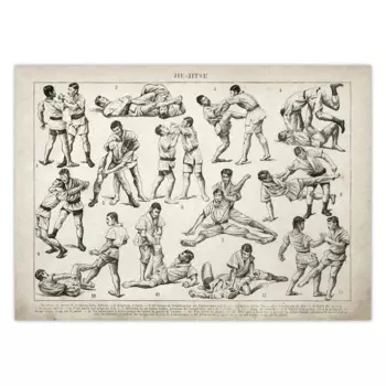 Плакат Jiu Jitsu Boxing Wrestling Fine Comma