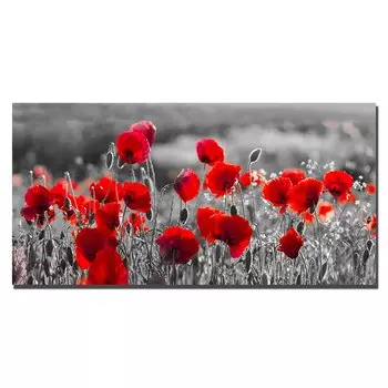 Плакат Modern Flowers AliPaint