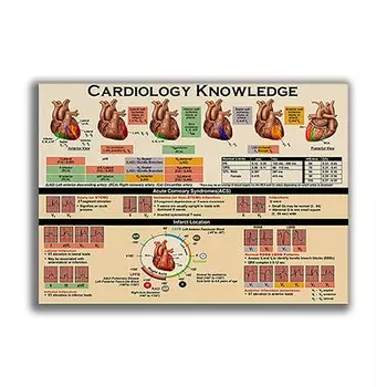 Плакат с анатомией сердца ReachMani
