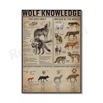 Плакат с знаниями о волках ReachMani
