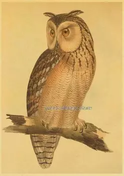 Плакат "Сова"