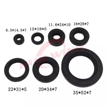 Полный комплект сальников двигателя для Rebel CA250 CM250 Regal Raptor DD250 Tank Vision Baja Phoenix 250 Jinlun Texan 250 QJ250-3 253FMM