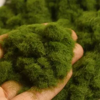 Порошок искусственной травы для микроландшафта generic