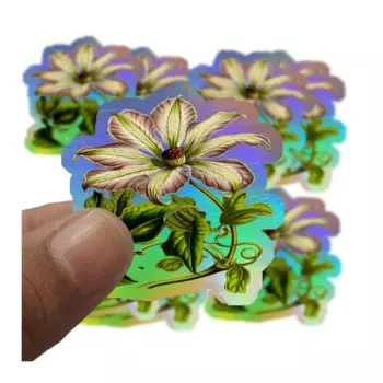 Последний дизайн, круглая 3D голограмма индивидуальной формы, лазерная наклейка, лист, голограмма с вырезом поцелуем, индивидуальная лазерная этикетка