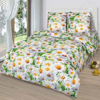 Постельное белье из Бязи 2 спальное европростыня - Офелия