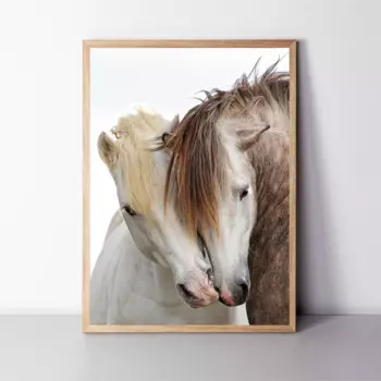 Постер лошадь современный печать на холсте