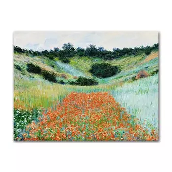 Постеры Клода Моне Маковые поля DHRM