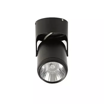 Потолочный светильник IWP COB