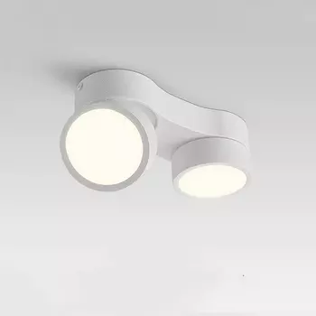 Потолочный светильник IWP, двойная головка, белый свет